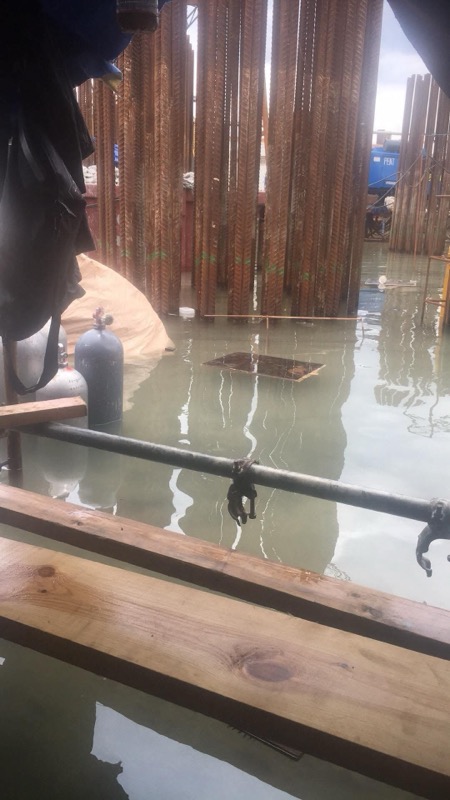 Diver submerging into the water