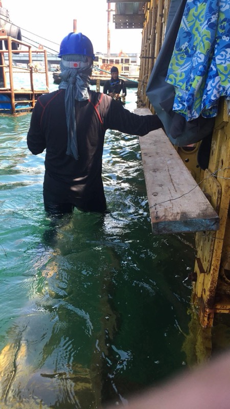 Diver entering the water from platform