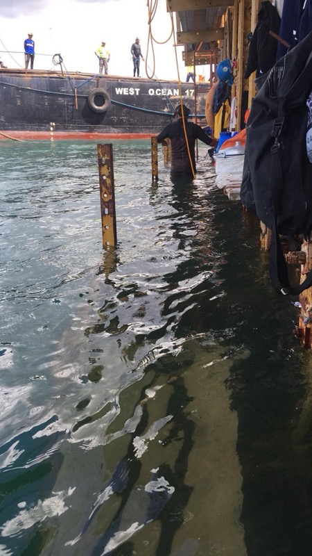 Vessel WEST OCEAN 17, diver entering the water